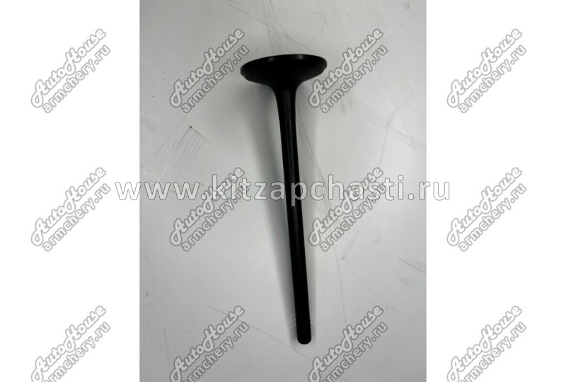 Клапан впускной  Geely Tugella 1030024600