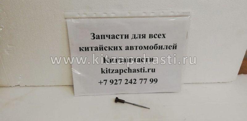 Клапанная пара форсунки топливной FOTON 1039 Euro-III AUMARK 0445110313